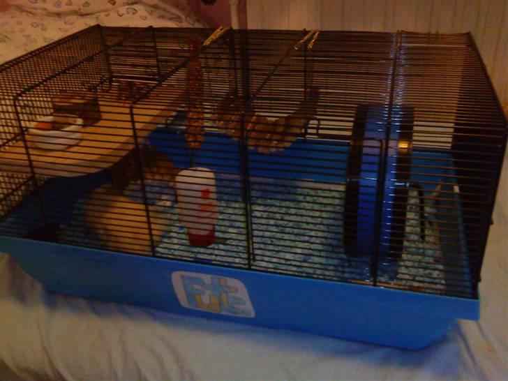 Hamster Malthes Futte - Futtes bur, det er lavet lidt om siden da.. billede 2