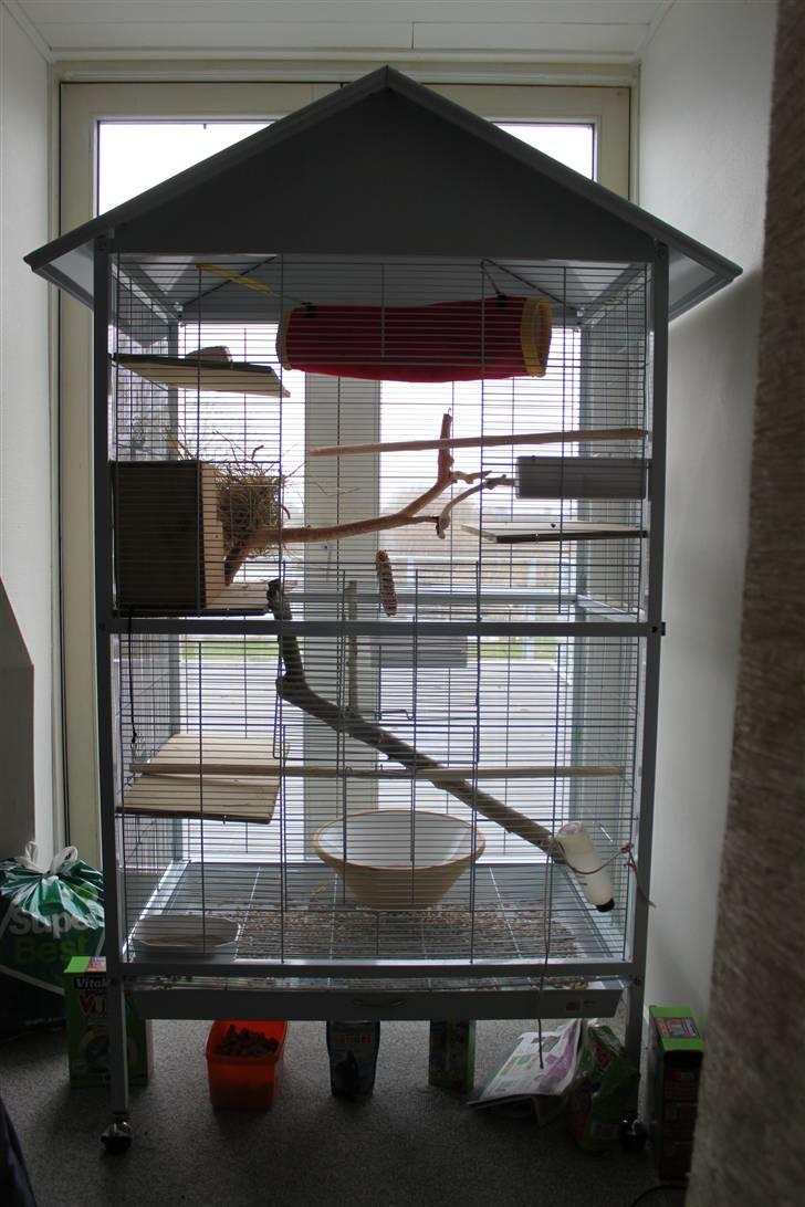 Chinchilla Groggi ! - hans dejlige bur :D! -ab foto. billede 3