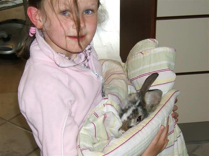 Kanin futte billede 1