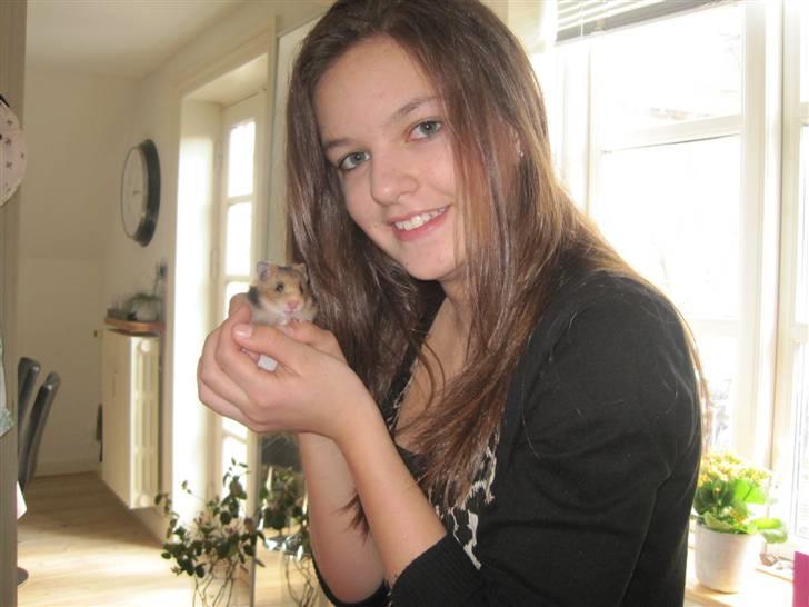 Hamster no name - lige da jeg kom hjem med dig og tog dig ud blev dette billed også taget <3 ;) billede 7