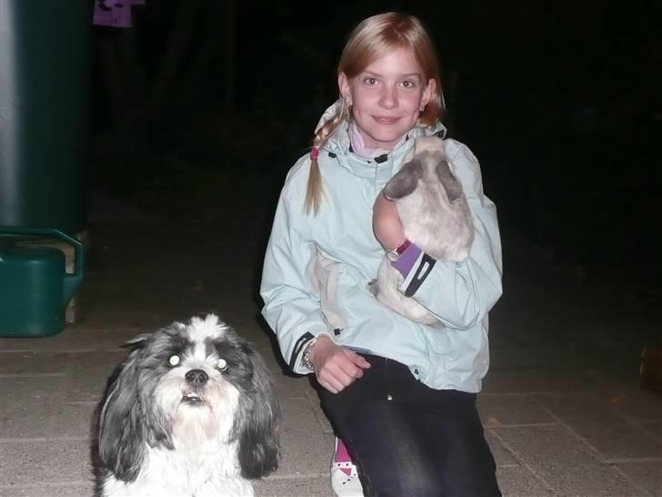 Kanin Nuller † R.I.P. - alle tre <3 billede 8