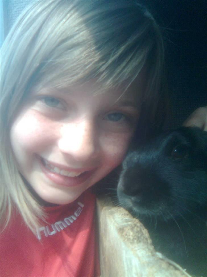 Kanin snøvsen billede 9