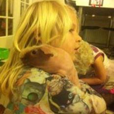 Marsvin Skinny -Lille blege Johnny