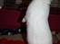 Kanin Little Miss Valentine (Hermelin)