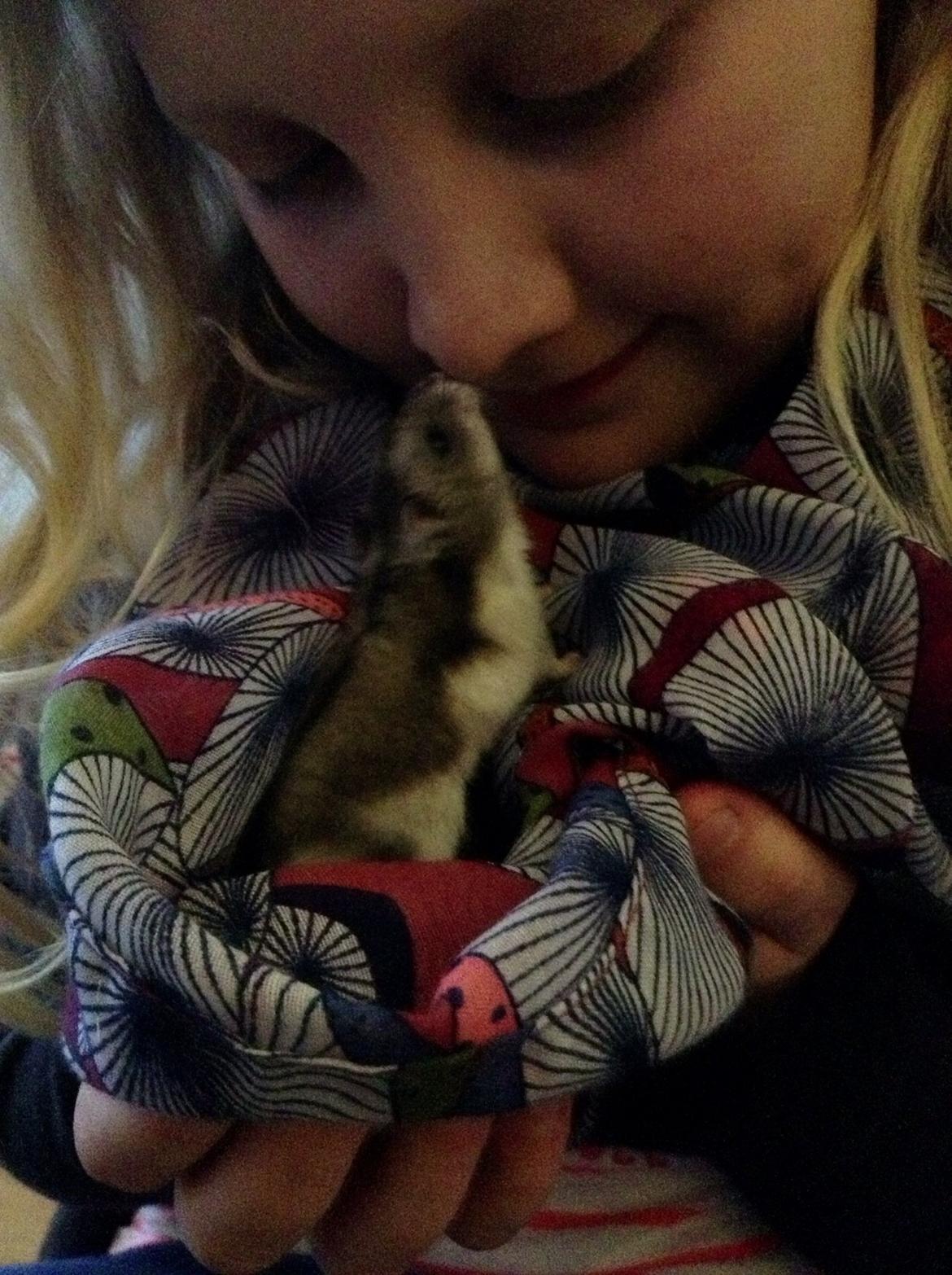 Hamster Nugga billede 10