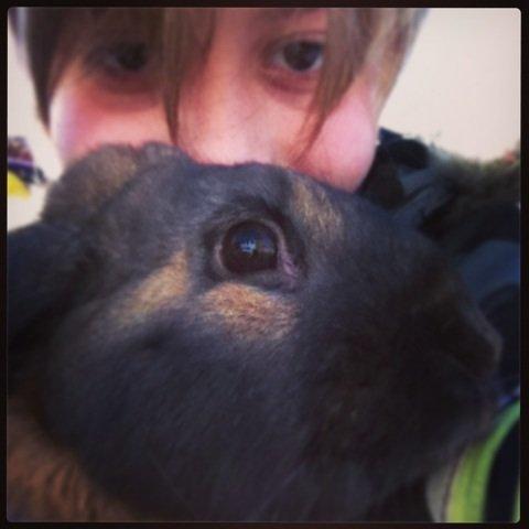 Kanin Alfred - seriøst billede 6