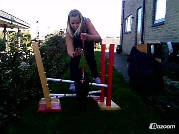 Kanin Team Super Gnaver Cocio billede 5