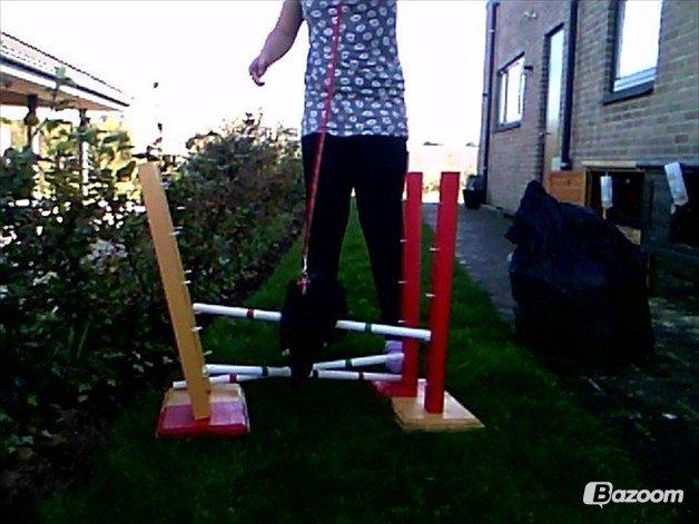 Kanin Team Super Gnaver Cocio billede 6