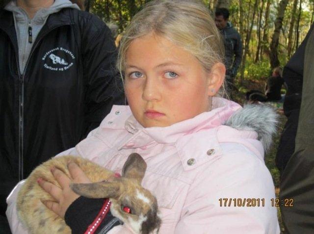 Kanin Stampe R.I.P  billede 3