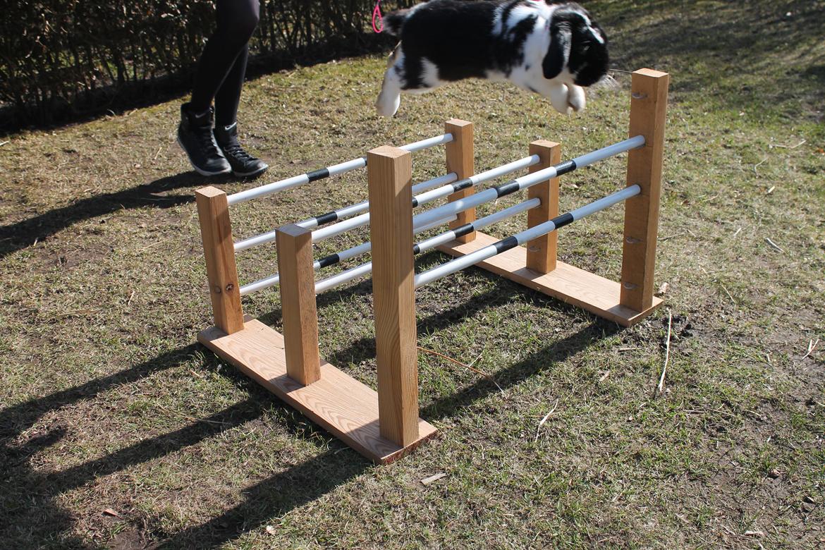 Kanin Bellas Someone In The Dark af Levade billede 13