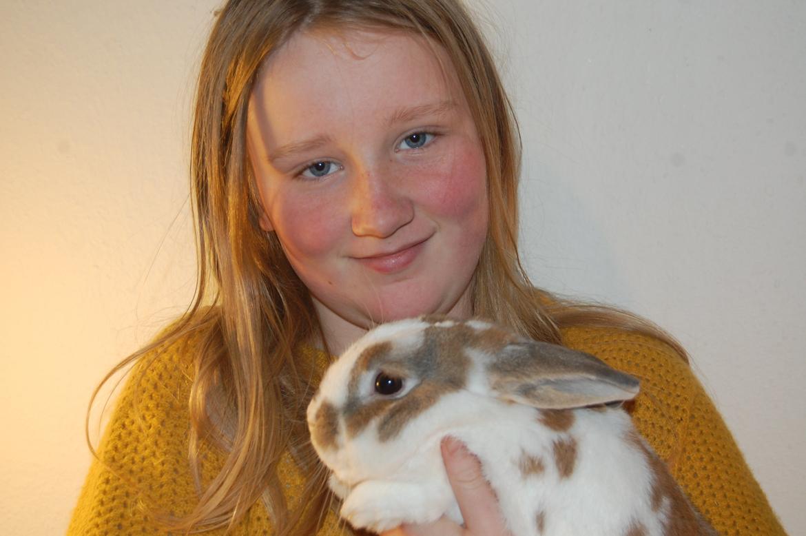 Kanin Hyggegården´s Ninus<3 (Stjernen) My little s billede 18