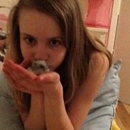 Dværghamster Pebzi (prinsen)*bebsen* :*<3