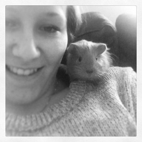 Marsvin Jerry billede 11