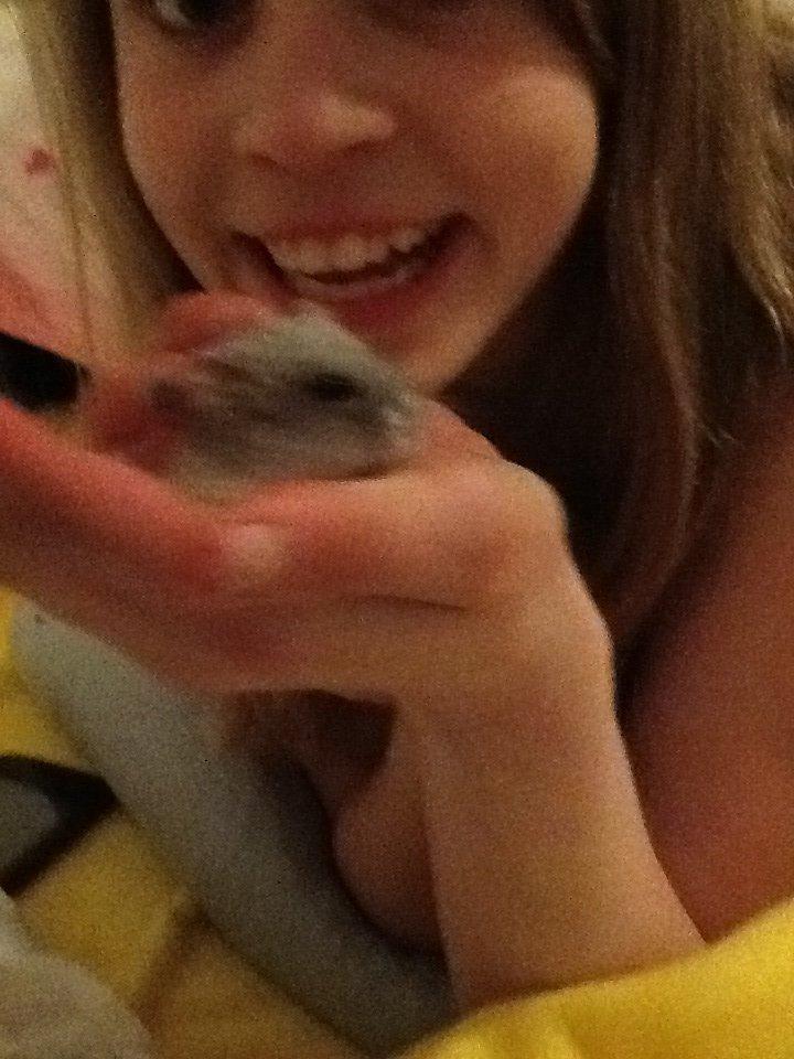 Dværghamster Pebzi (prinsen)*bebsen* :*<3 billede 5