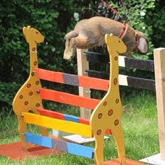 Kanin Ajtak's Dies Saturni