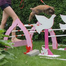 Kanin Ajtak's Dies Saturni