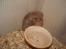 Hamster Tusse´s Houston