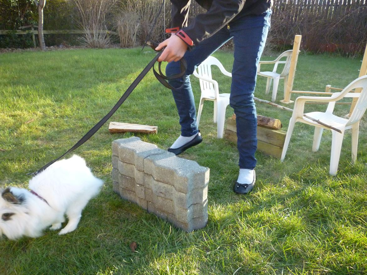 Kanin Snebold - <3 billede 5