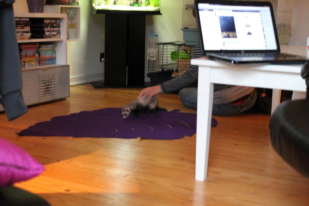 Ilder Batman billede 2