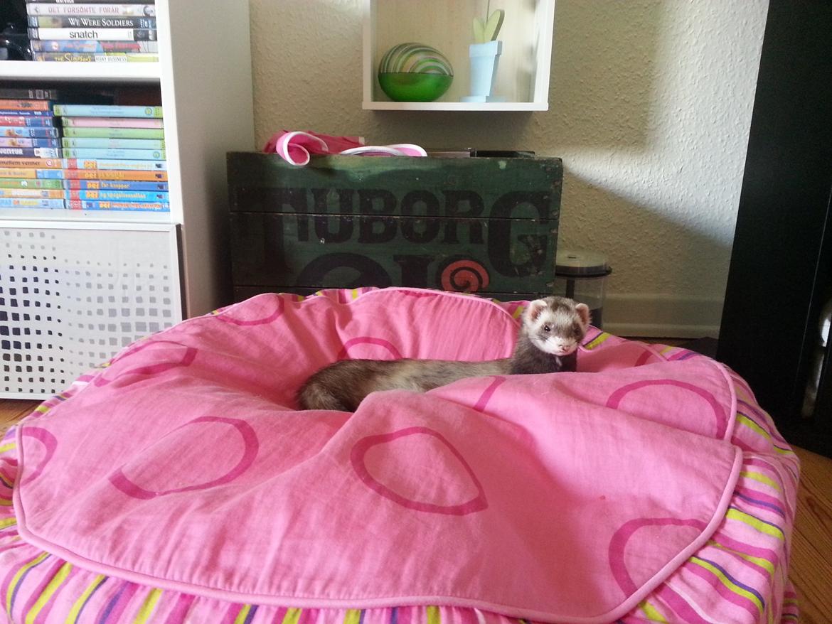 Ilder Batman billede 15