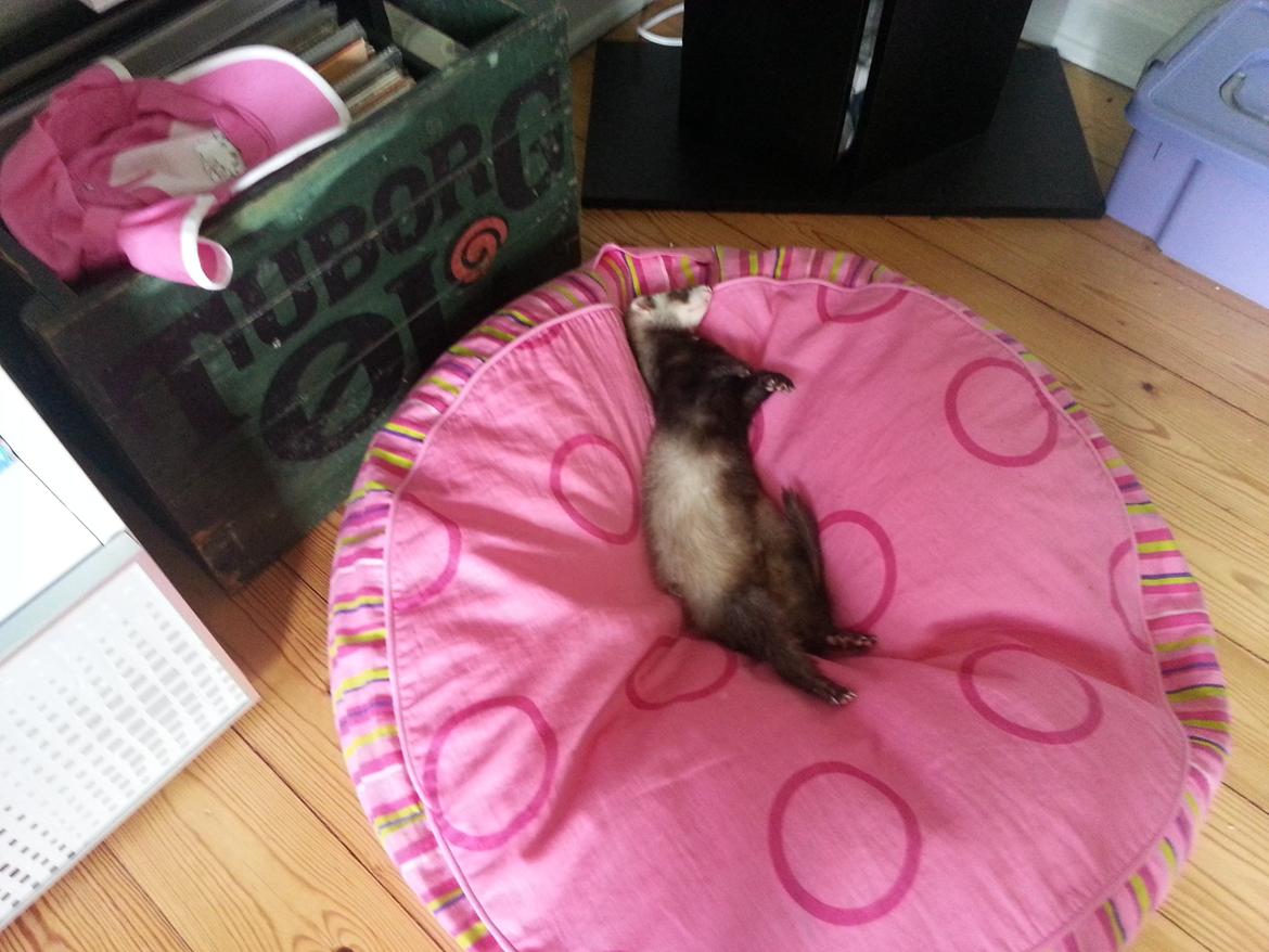 Ilder Batman billede 17