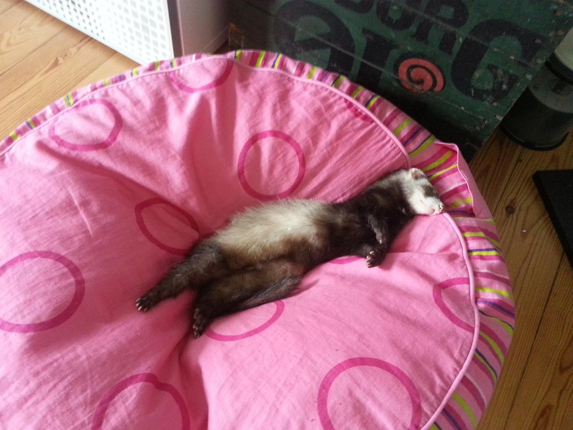 Ilder Batman billede 18