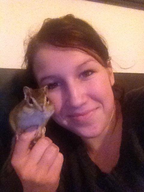 Jordegern Cena billede 11