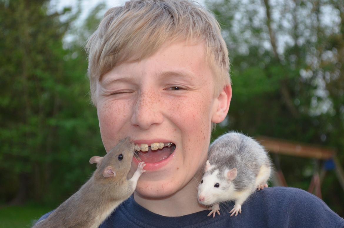 Tamrotte Tipo (Fyr på spansk) billede 15