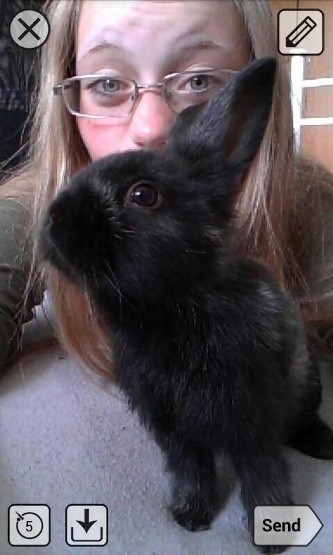 Kanin Louis the Lion - Louis elsker Snapchat <3 billede 6