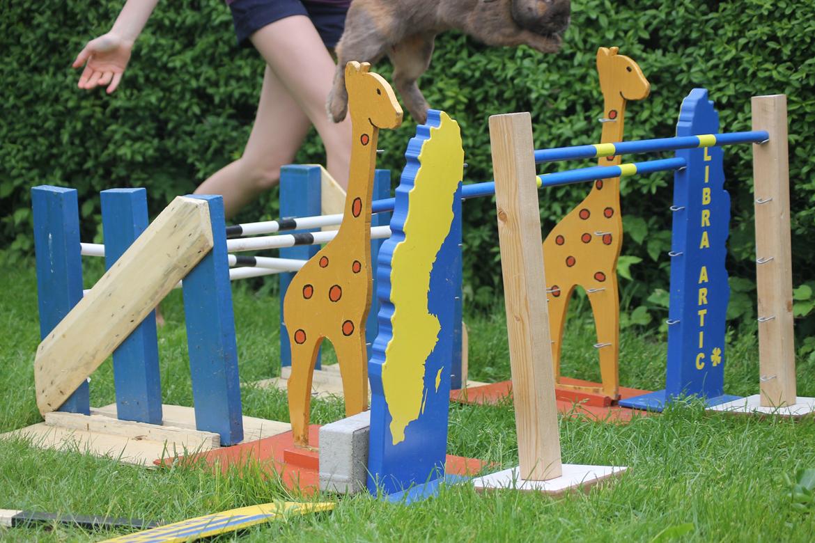 Kanin Ajtak's Dies Saturni billede 3