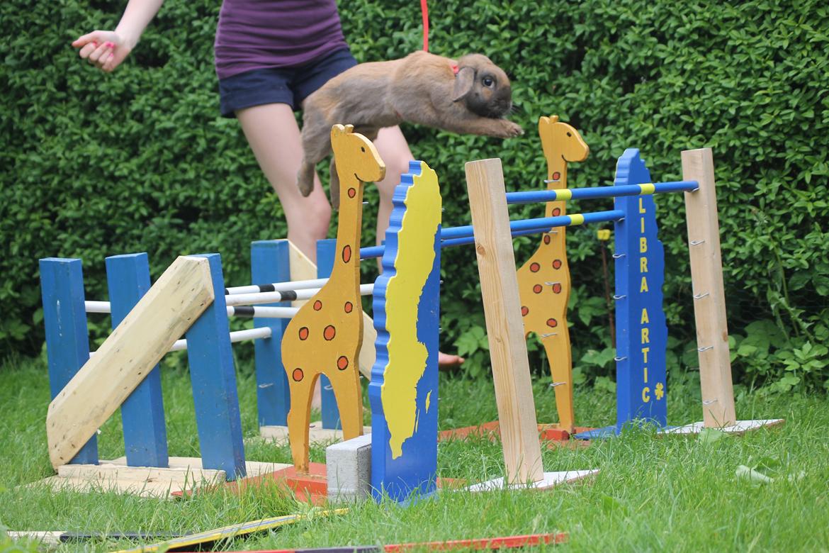 Kanin Ajtak's Dies Saturni billede 5