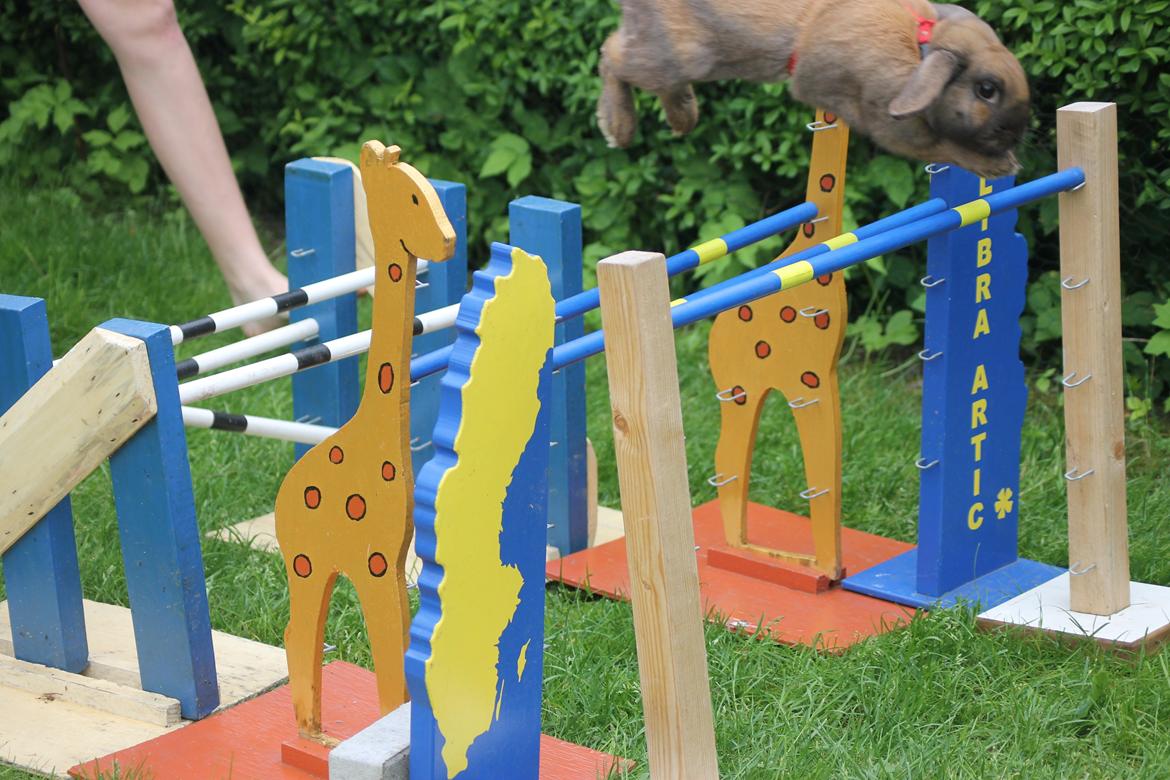 Kanin Ajtak's Dies Saturni billede 11