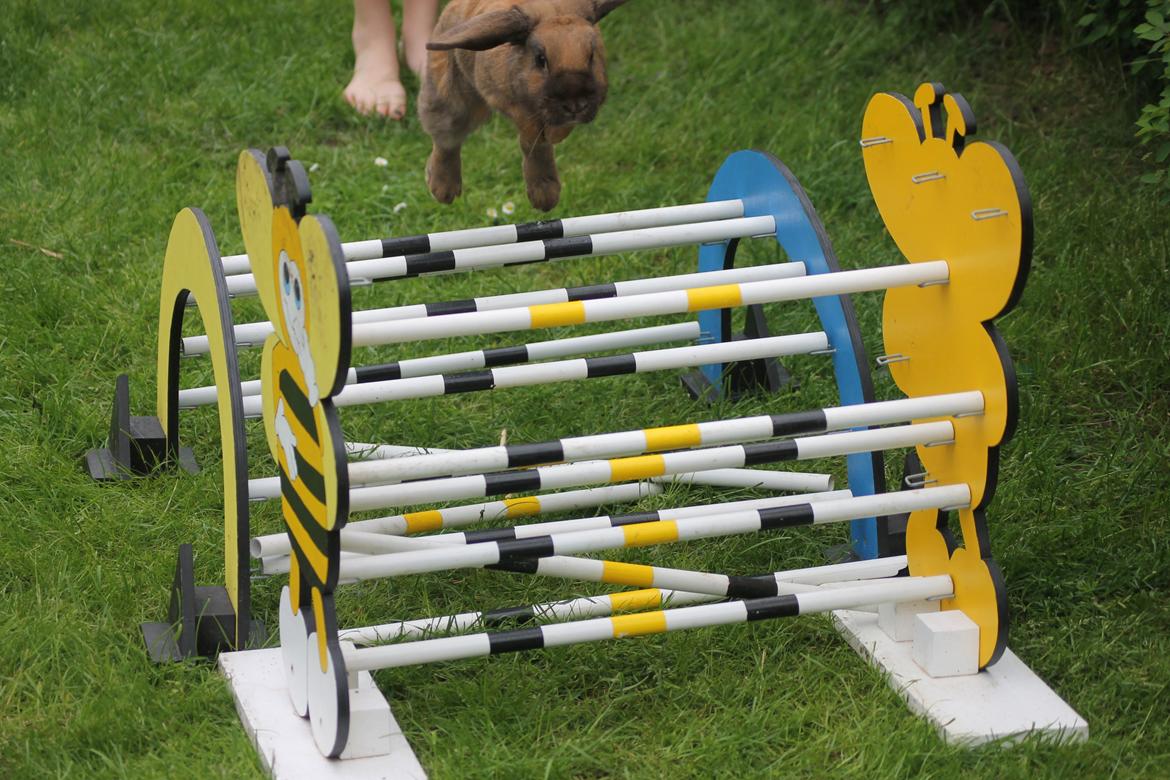 Kanin Ajtak's Dies Saturni billede 12