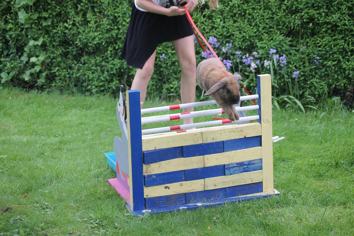 Kanin Ajtak's Dies Saturni billede 16