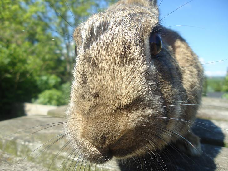 {{currentPhoto.altText}} billede {{currentPhoto.number}}