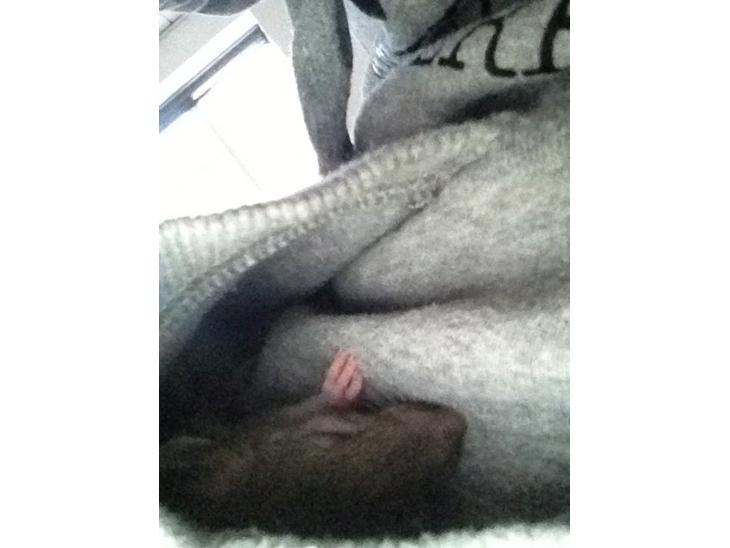 {{currentPhoto.altText}} billede {{currentPhoto.number}}