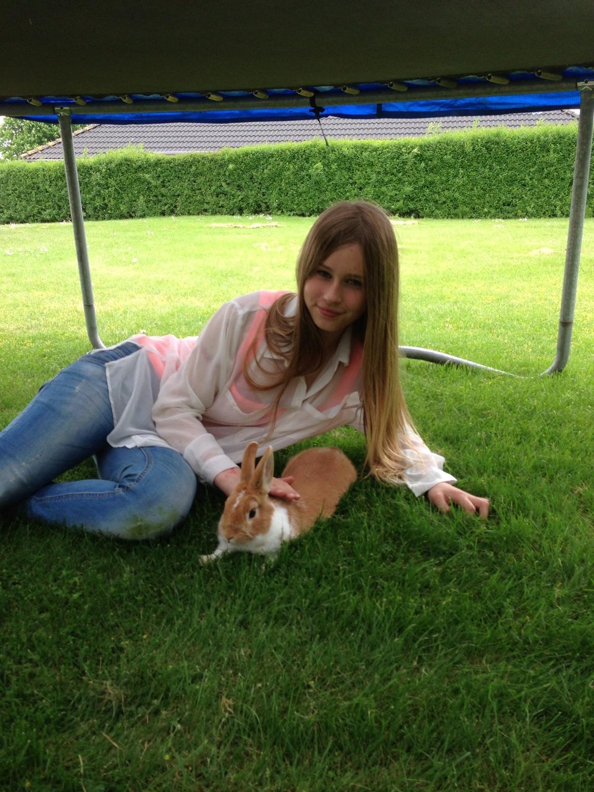 Kanin Burger <3 billede 13