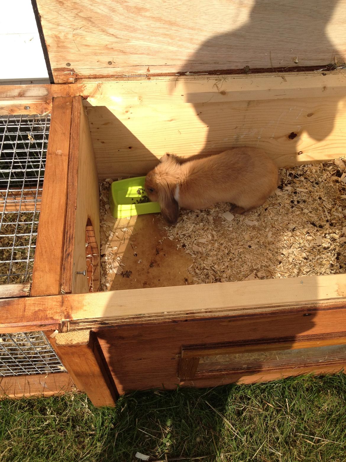 Kanin Nugga<3 R.I.P<33 billede 8