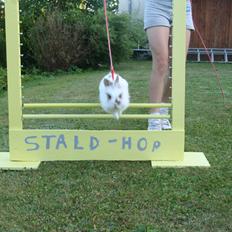 Kanin Unik`s Manhatten