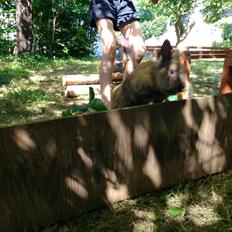 Kanin Rolly Jumper* R'j- TILBYDER PARRING