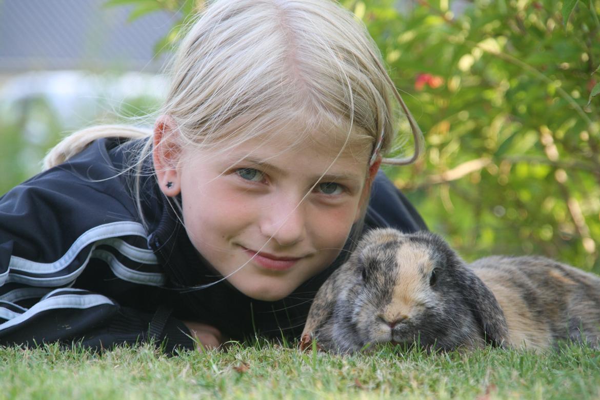 Kanin Cato og vanilje billede 5