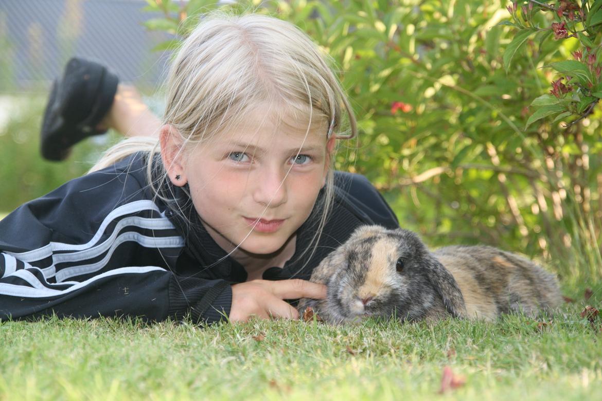 Kanin Cato og vanilje billede 3