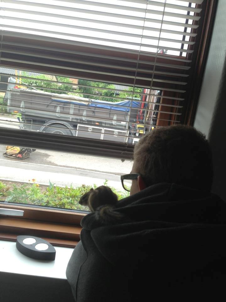 Jordegern Snøvs billede 2