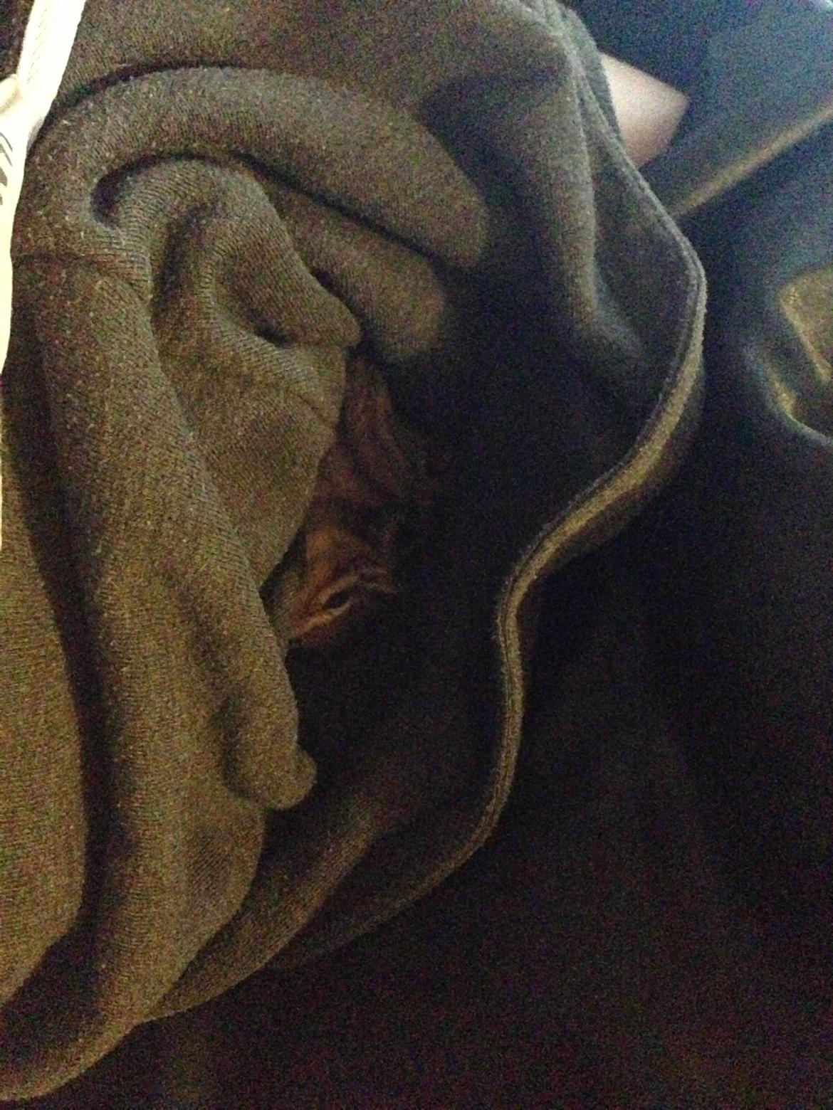 Jordegern Snøvs billede 15