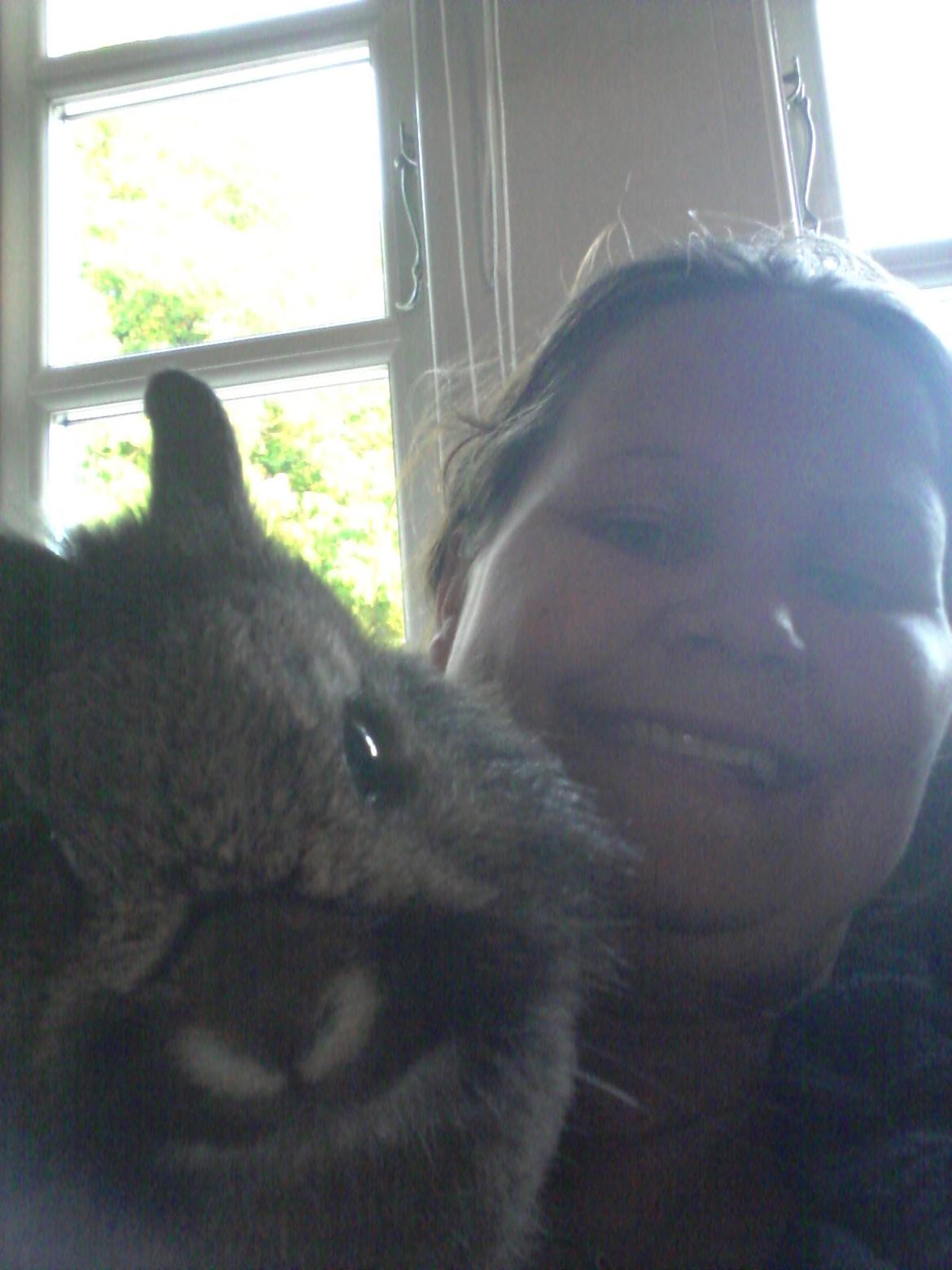 Kanin Brocks Arks Simba - Love <3 billede 14