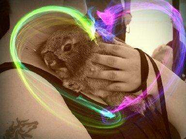 Kanin Brocks Arks Simba - Close to my heart <3 billede 1