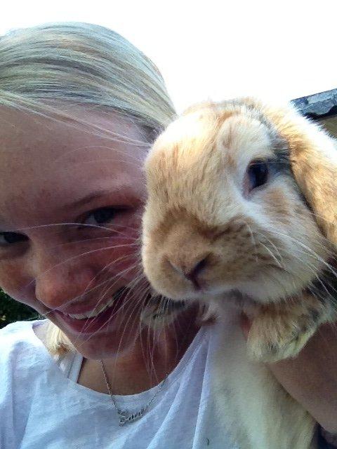 Kanin |DV| Fortunato *Nanse* billede 2