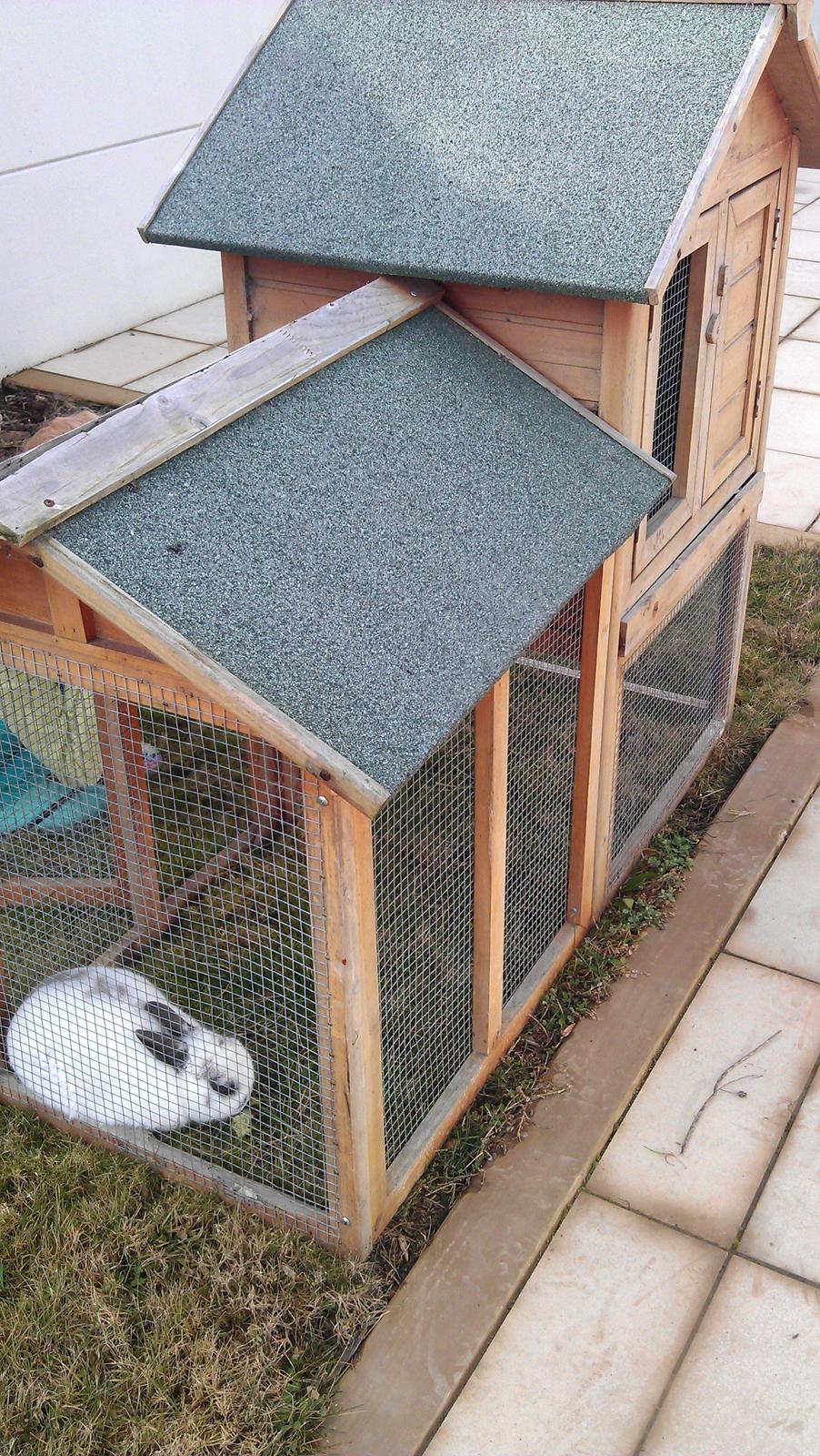 Kanin Dobby billede 10