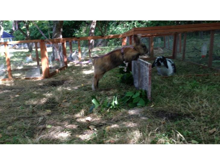 {{currentPhoto.altText}} billede {{currentPhoto.number}}