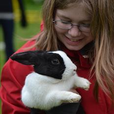 Kanin Surprise Chiaka